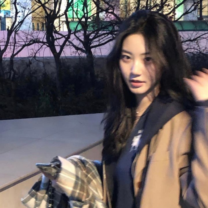 丛林游戏